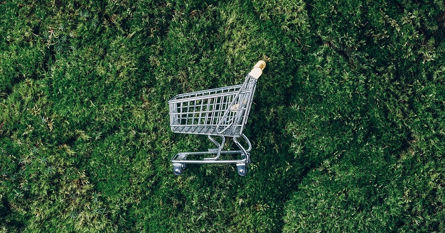 Environnement : Les feux sont au vert Environnement : Les feux sont au vert