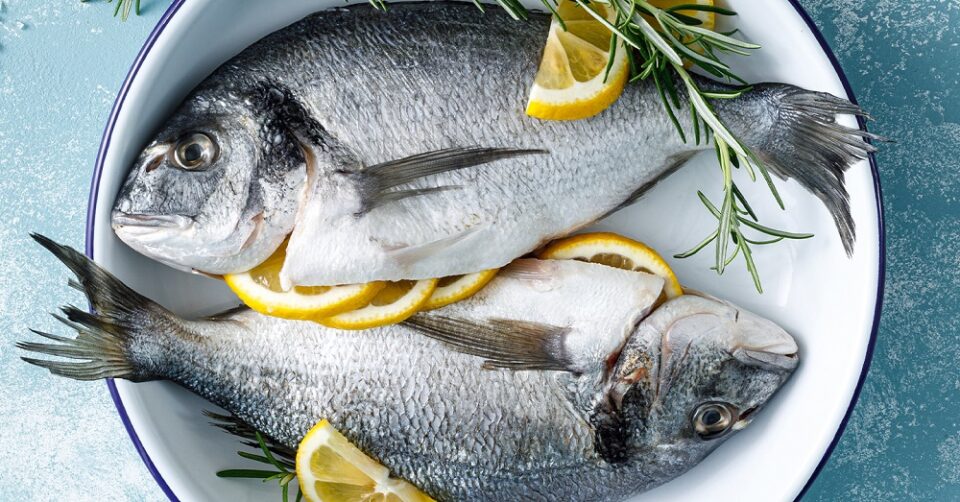 Produits de la mer : Avis de tempête Produits de la mer : Avis de tempête